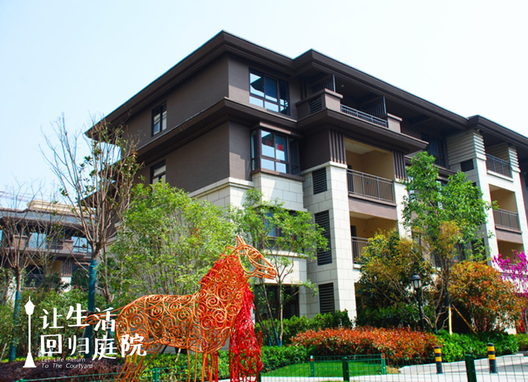 前后观望南阳50年：这样的庭院，很难再有了！