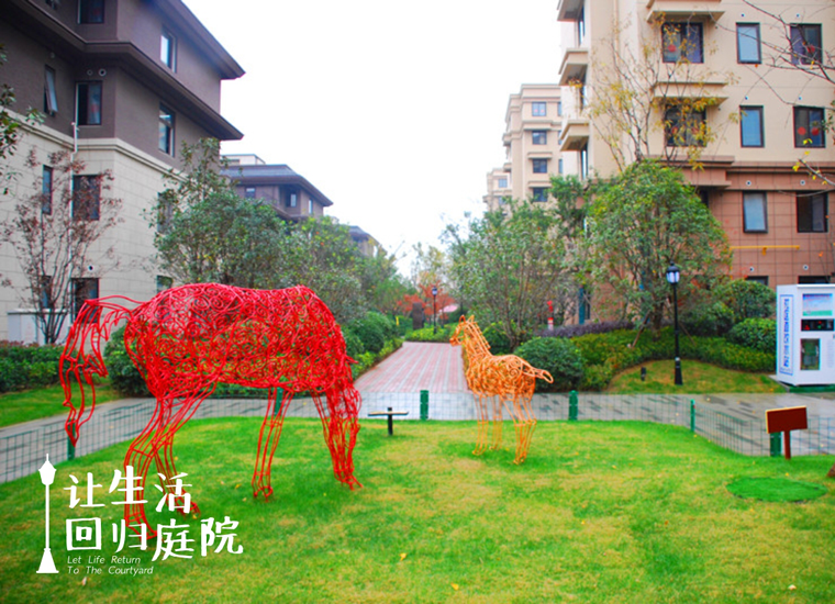 前后观望南阳50年：这样的庭院，很难再有了！
