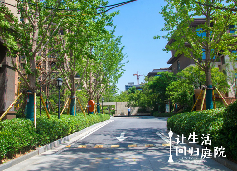 前后观望南阳50年：这样的庭院，很难再有了！