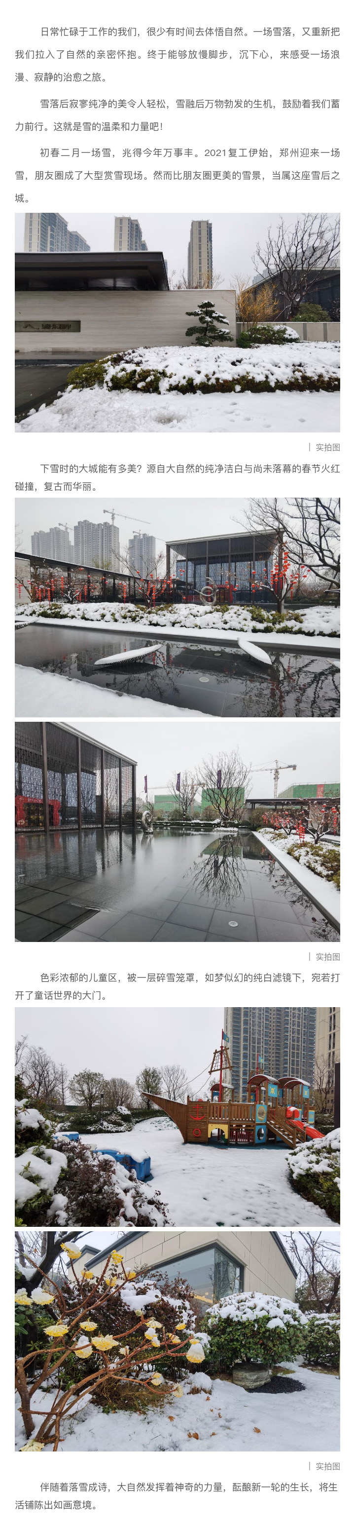 2021浪漫开年，共赏一场鹅毛大雪！