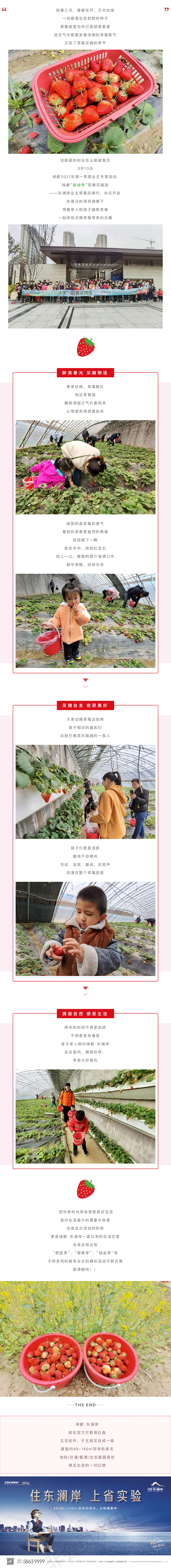 草莓采摘行|“莓”好同行，不负春日好时光